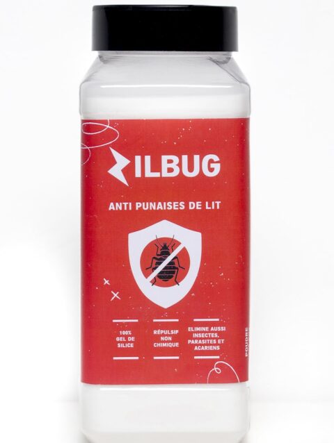 ZILBUG